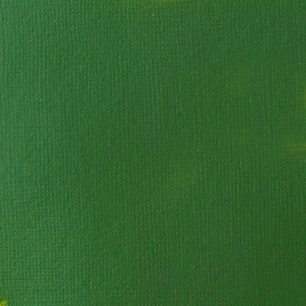 Basics Acrylic Color - Hooker’s Green Hue Permanent - Image 6