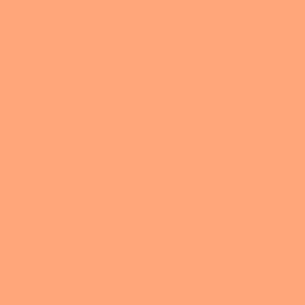 Liquitex Marker - Coral