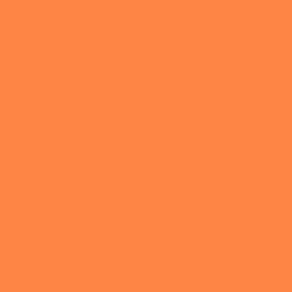 Liquitex Marker - Light Orange