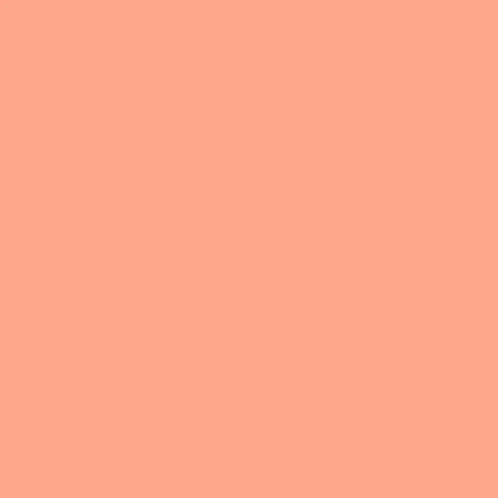 Liquitex Marker - Peach