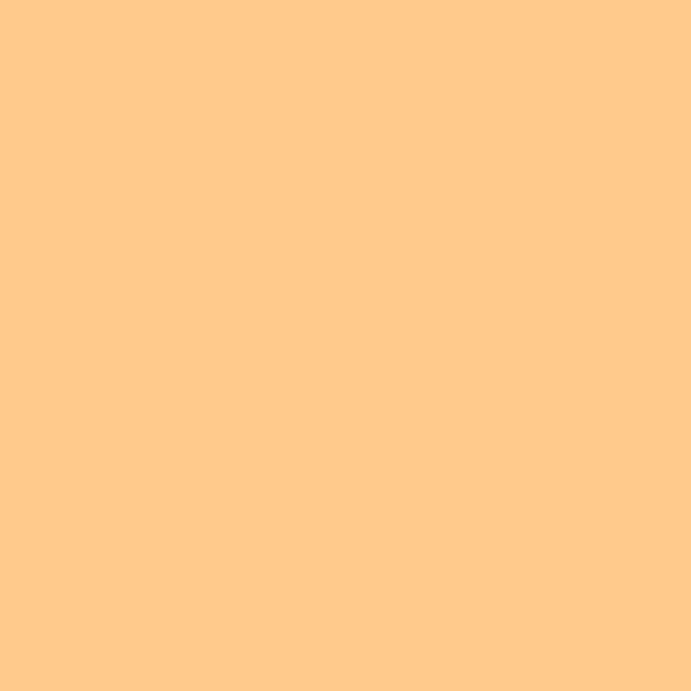 Liquitex Marker - Tan