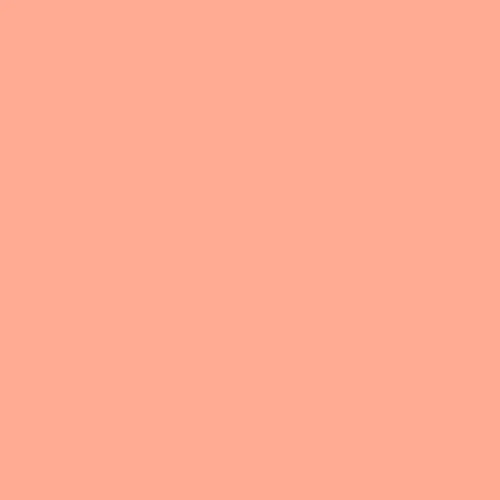 Professional Acrylic Marker - Light Pink