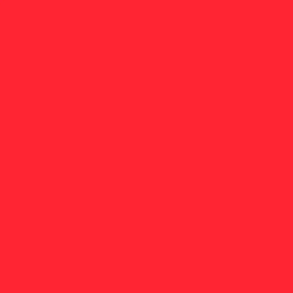 Professional Acrylic Marker - Quinacridone Crimson