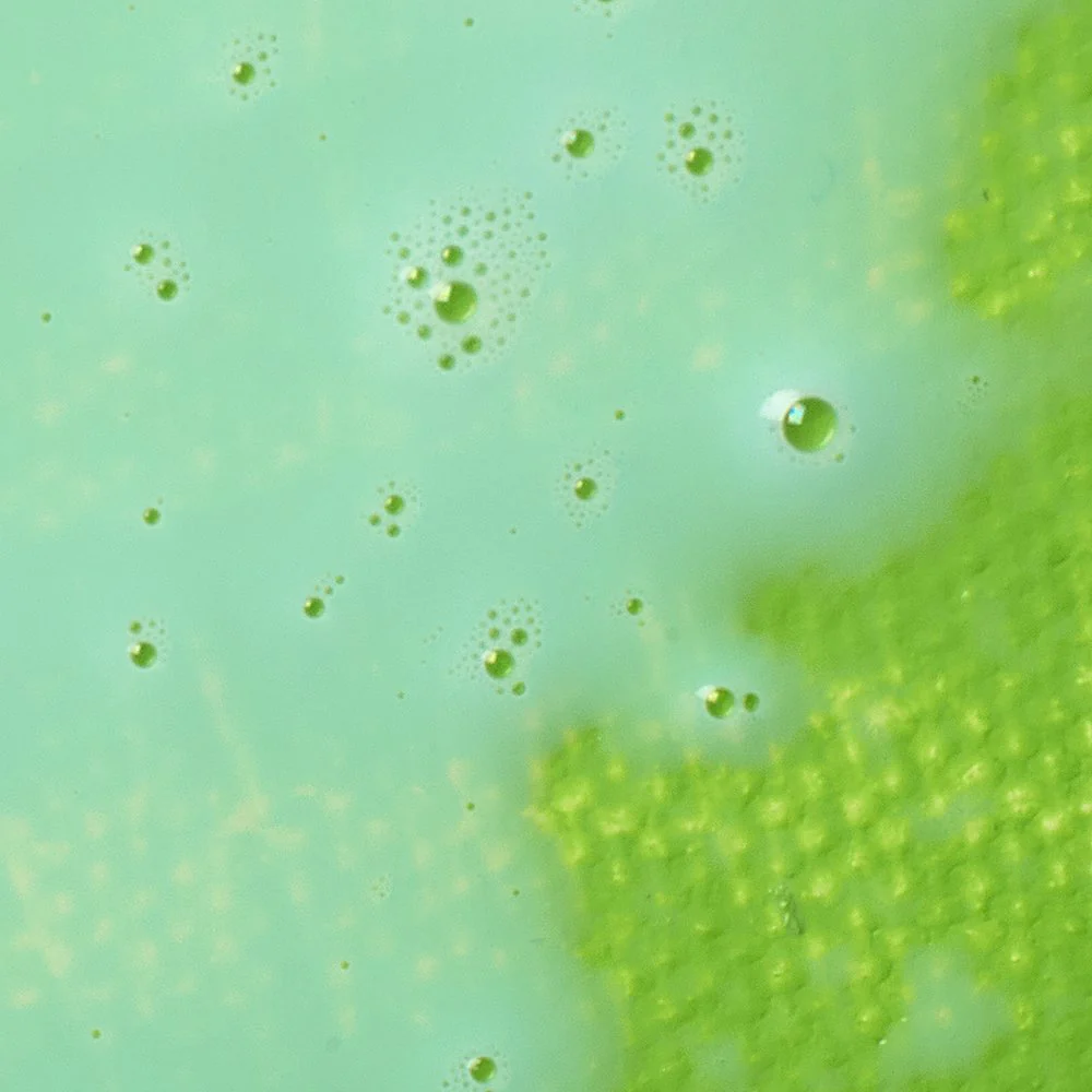 Professional Palette Wetting Spray - Image 2