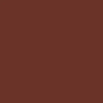 Professional Spray Paint - Burnt Sienna
