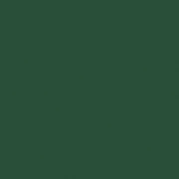 Professional Spray Paint - Hooker’s Green Hue Permanent
