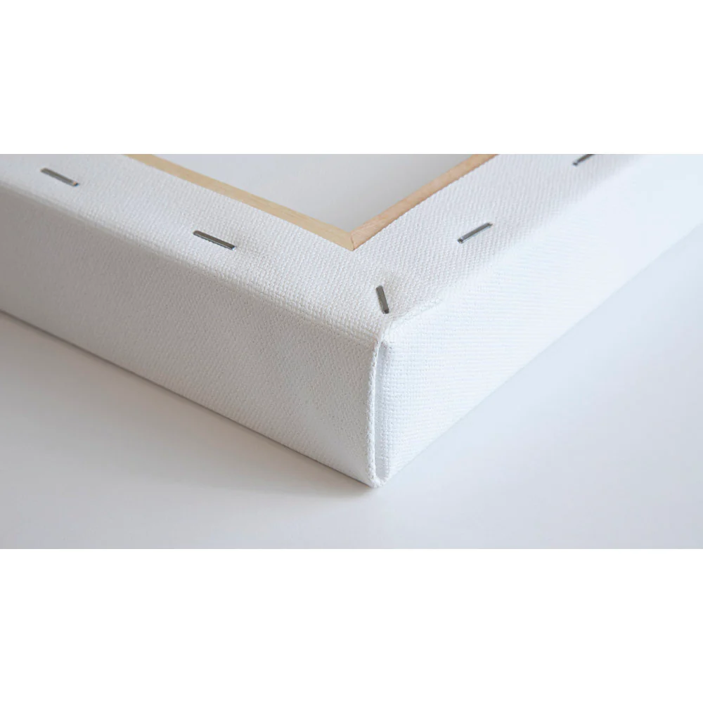Professional Recycled Canvas - Deep Edge - Image 37