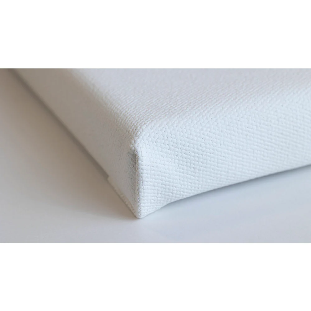 Professional Recycled Canvas - Traditional - Image 45