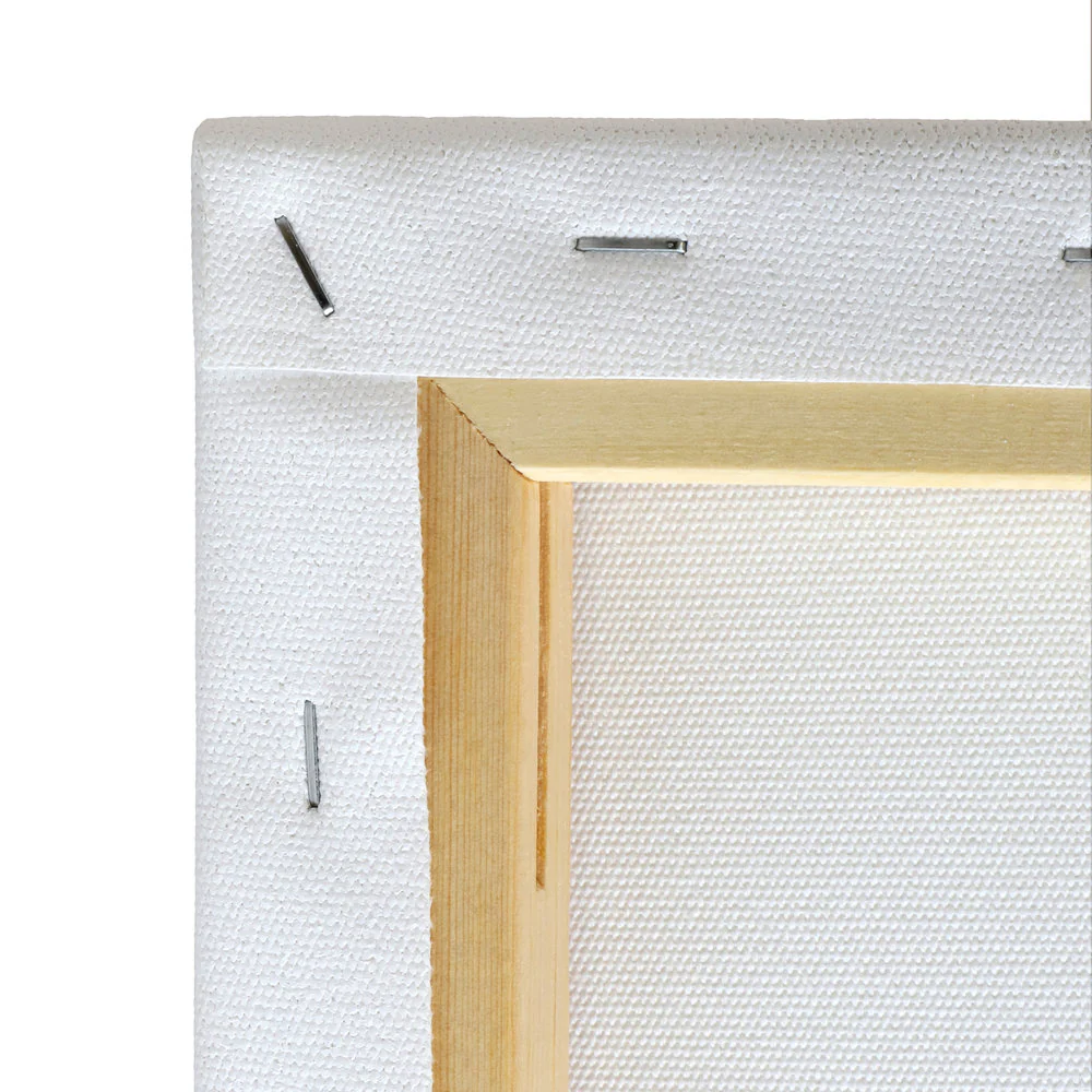 Professional Recycled Canvas - Traditional - Image 47